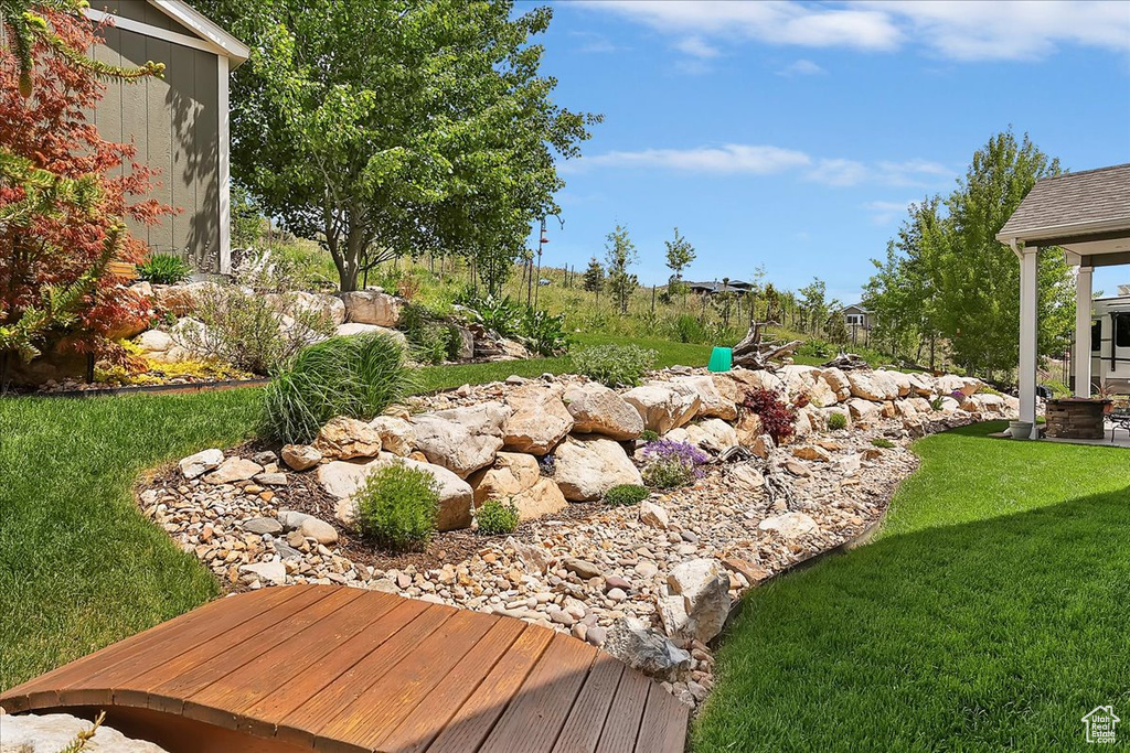 View of grassy yard