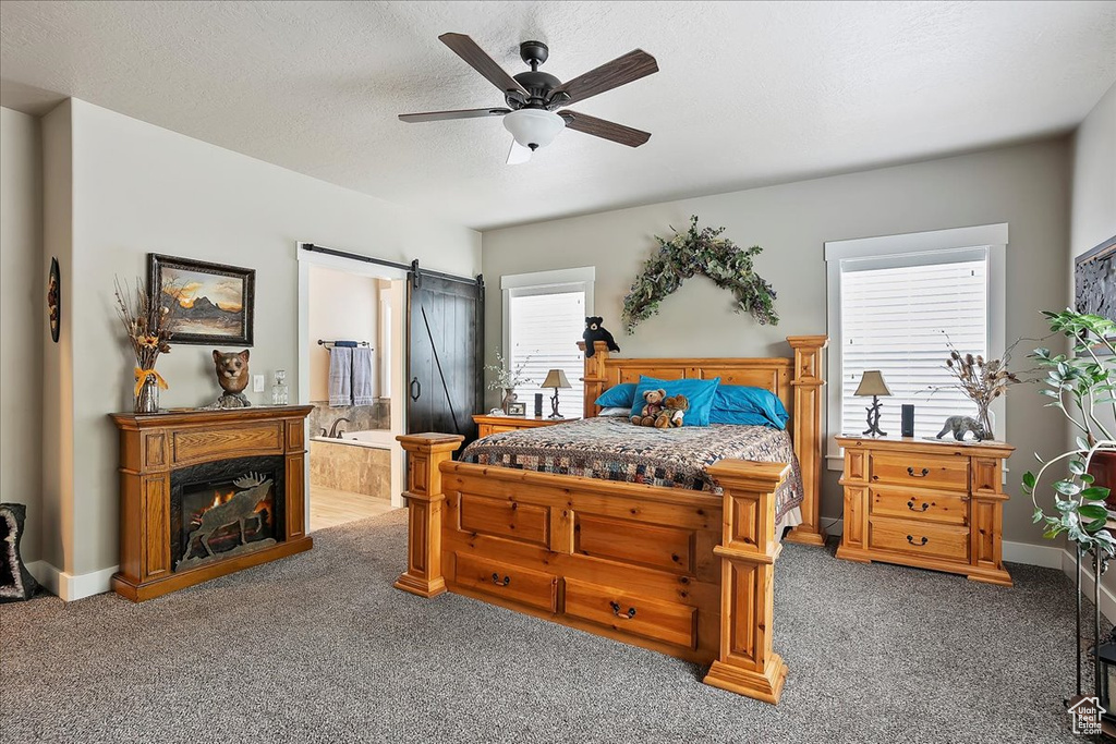 Carpeted bedroom featuring multiple windows, connected bathroom, a barn door, ceiling fan, and a textured ceiling