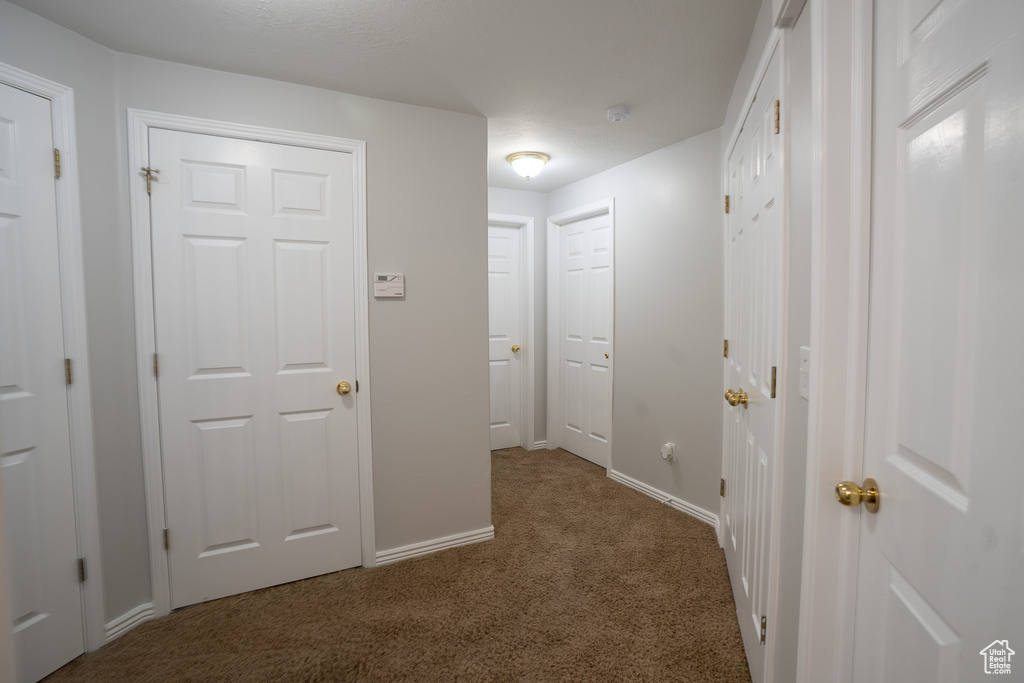 Hall with carpet and baseboards