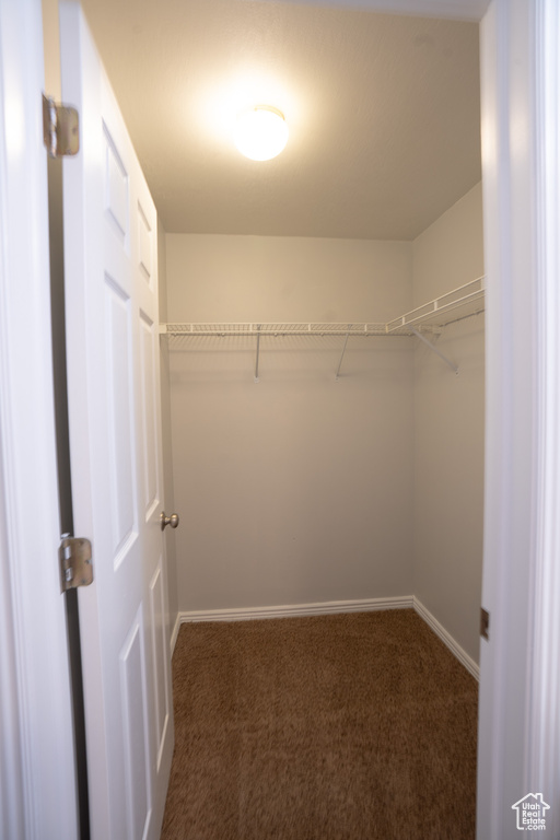 Walk in closet with carpet