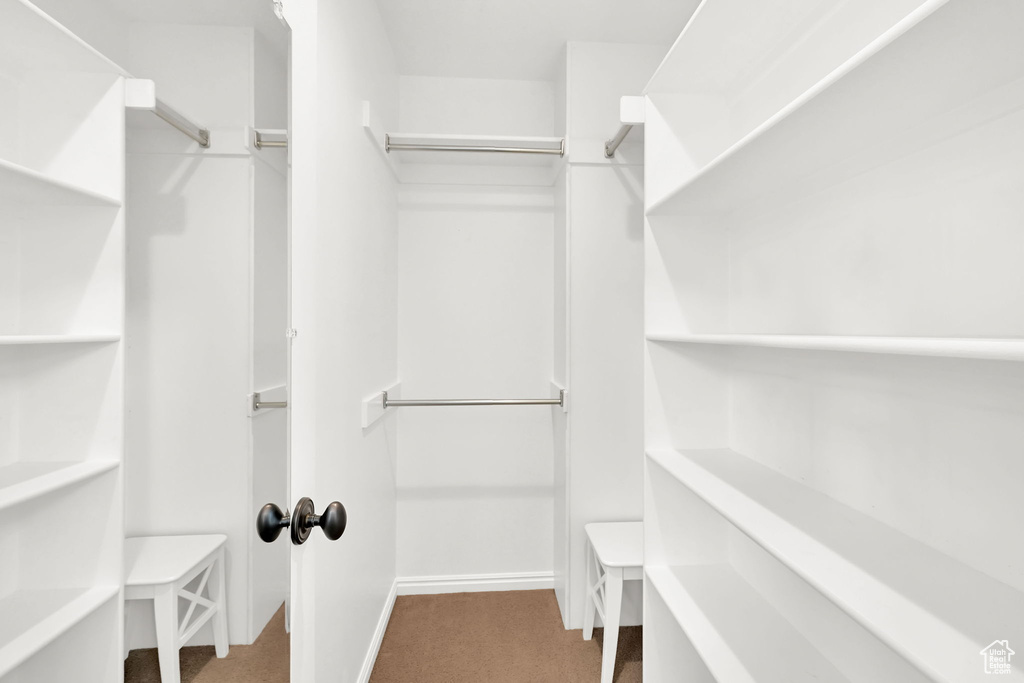 Spacious closet featuring carpet floors
