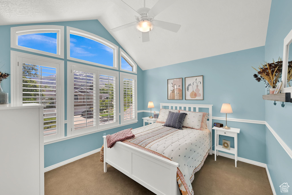 Bedroom featuring lofted ceiling, carpet, multiple windows, and baseboards