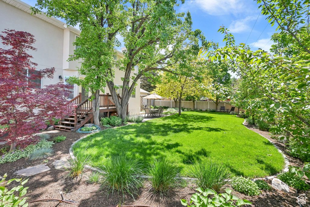 View of yard with a patio, a deck, and stairway
