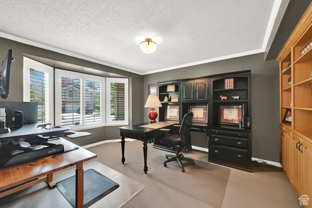 Office featuring carpet floors, baseboards, ornamental molding, and a textured ceiling