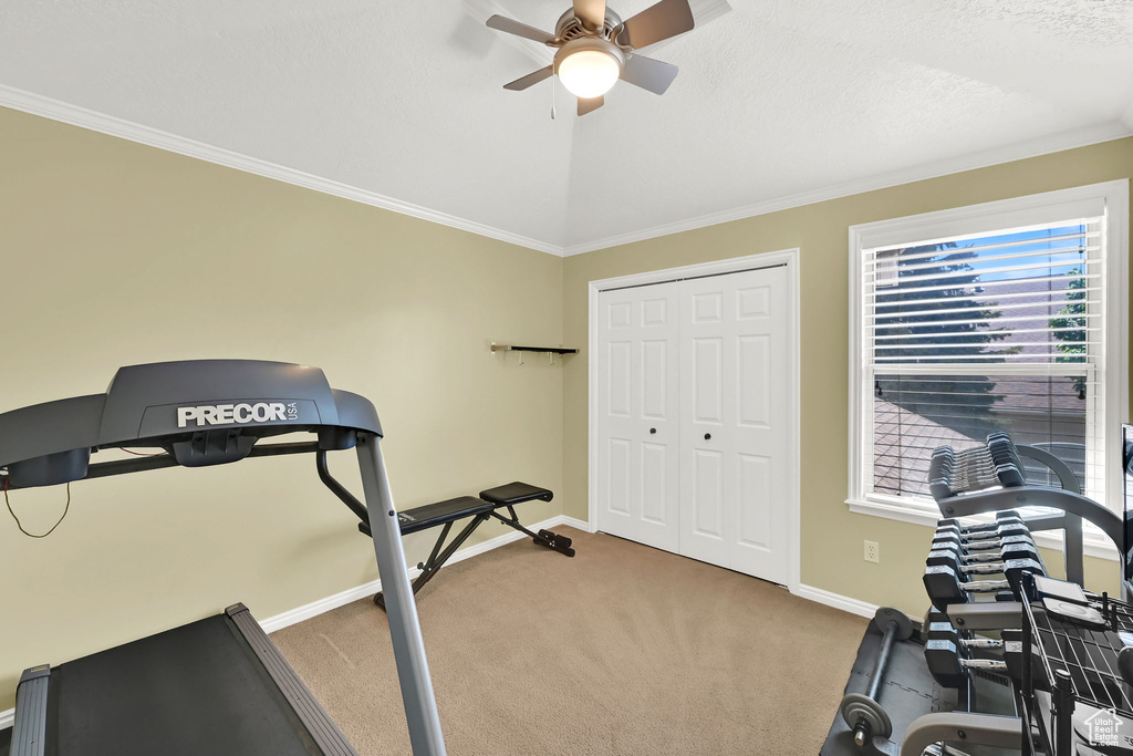 Workout area featuring a ceiling fan, carpet, baseboards, and crown molding