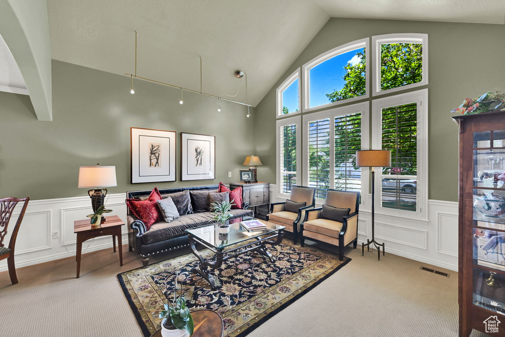 Living room featuring carpet floors, a decorative wall, wainscoting, and high vaulted ceiling