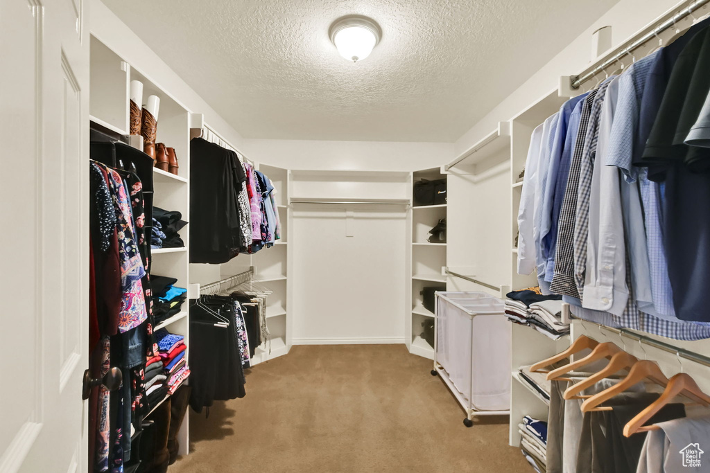 Spacious closet featuring carpet floors