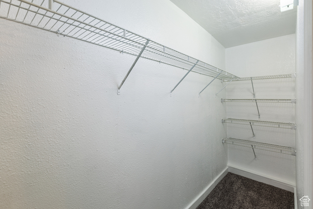 Walk in closet featuring carpet