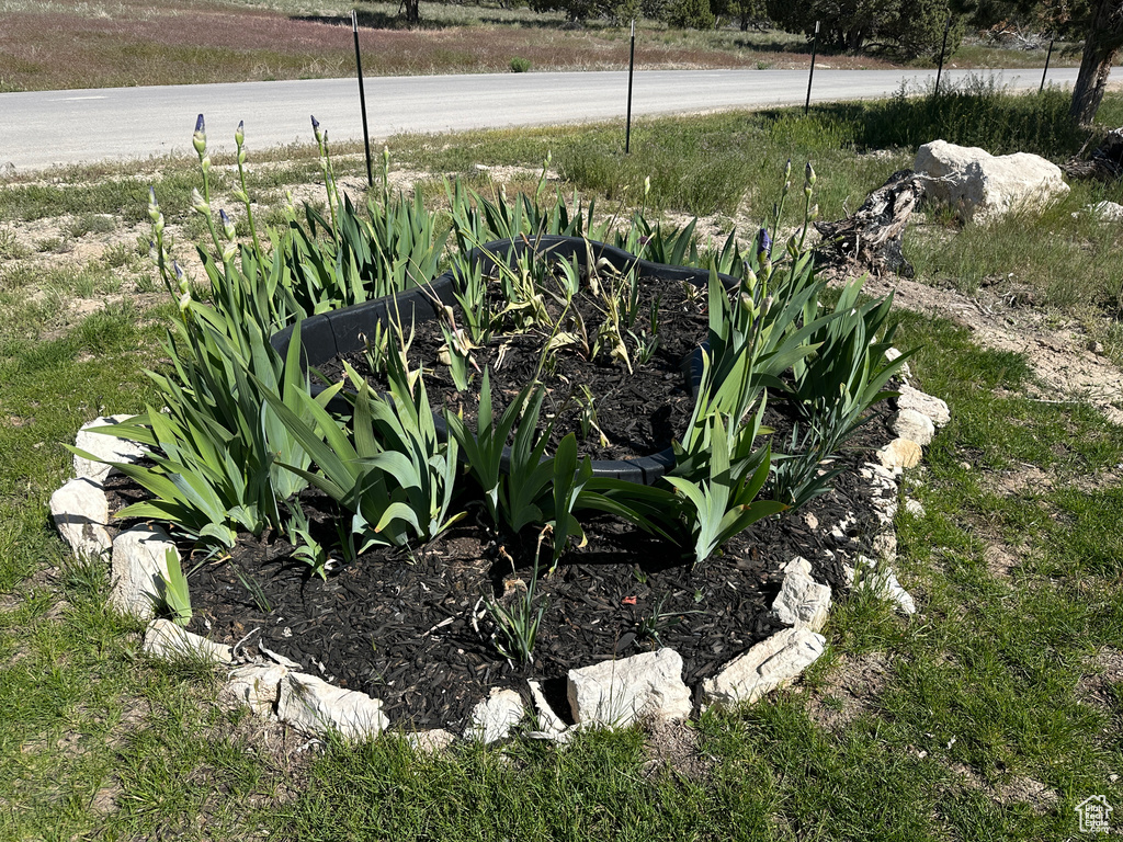 Exterior view of a garden