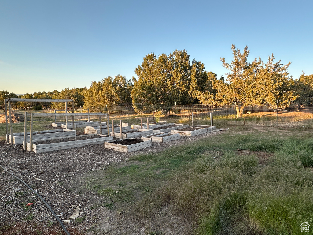 View of yard featuring a vegetable garden