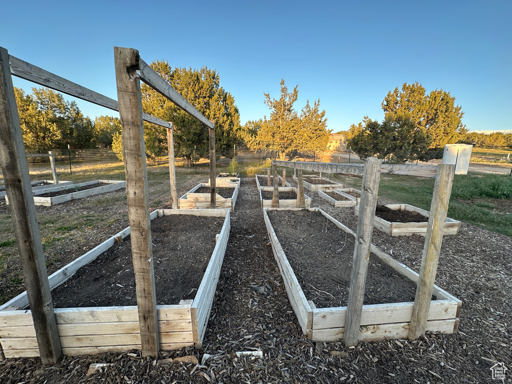 View of yard with a vegetable garden