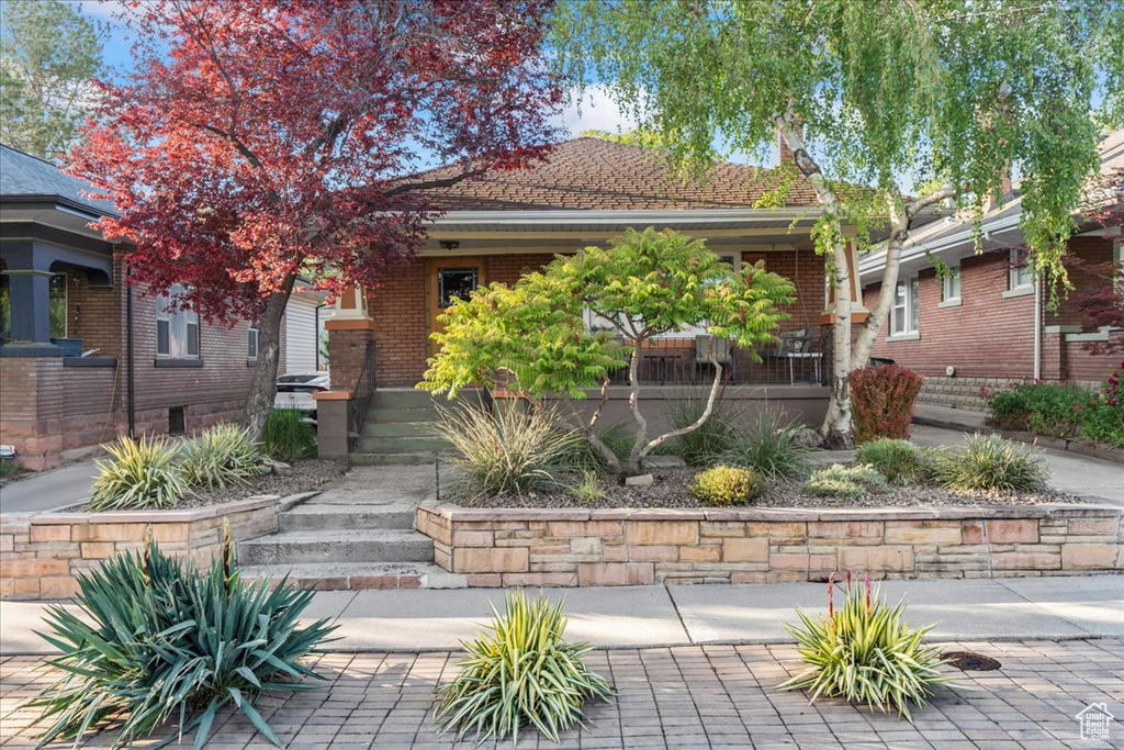 View of property hidden behind natural elements with brick siding