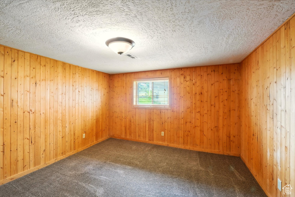 Empty room featuring carpet floors, wood walls, and a textured ceiling