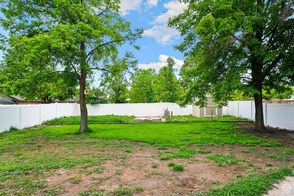 View of yard