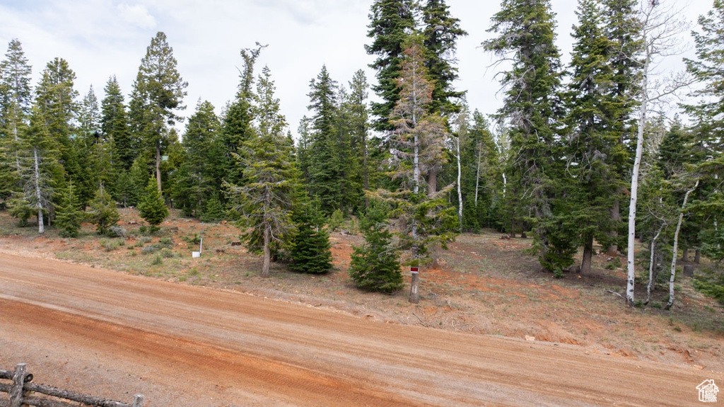 View of dirt / gravel road