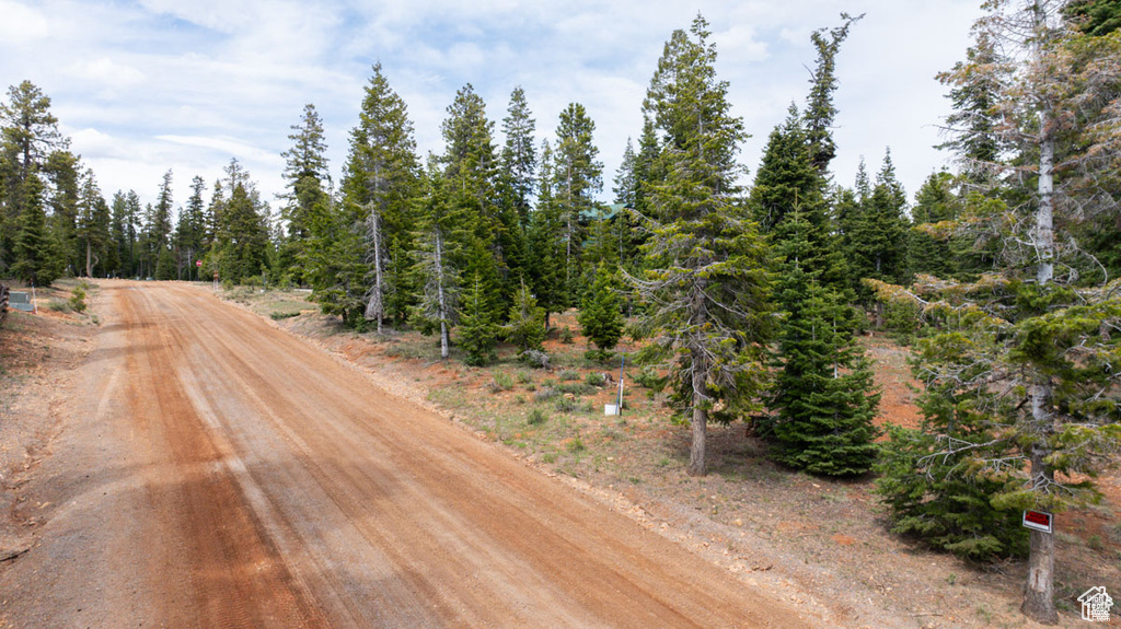 View of dirt / gravel road