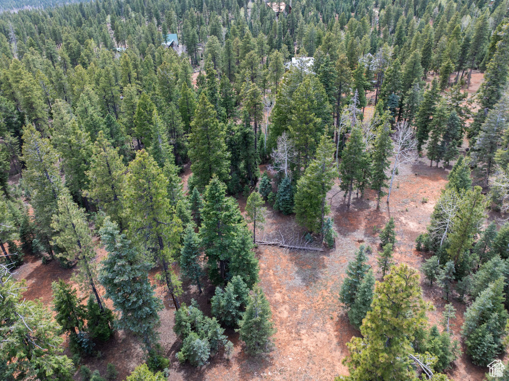 Aerial overview of property's location featuring a forest