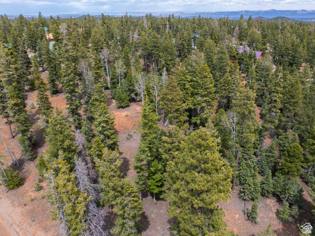 Aerial overview of property's location with a forest