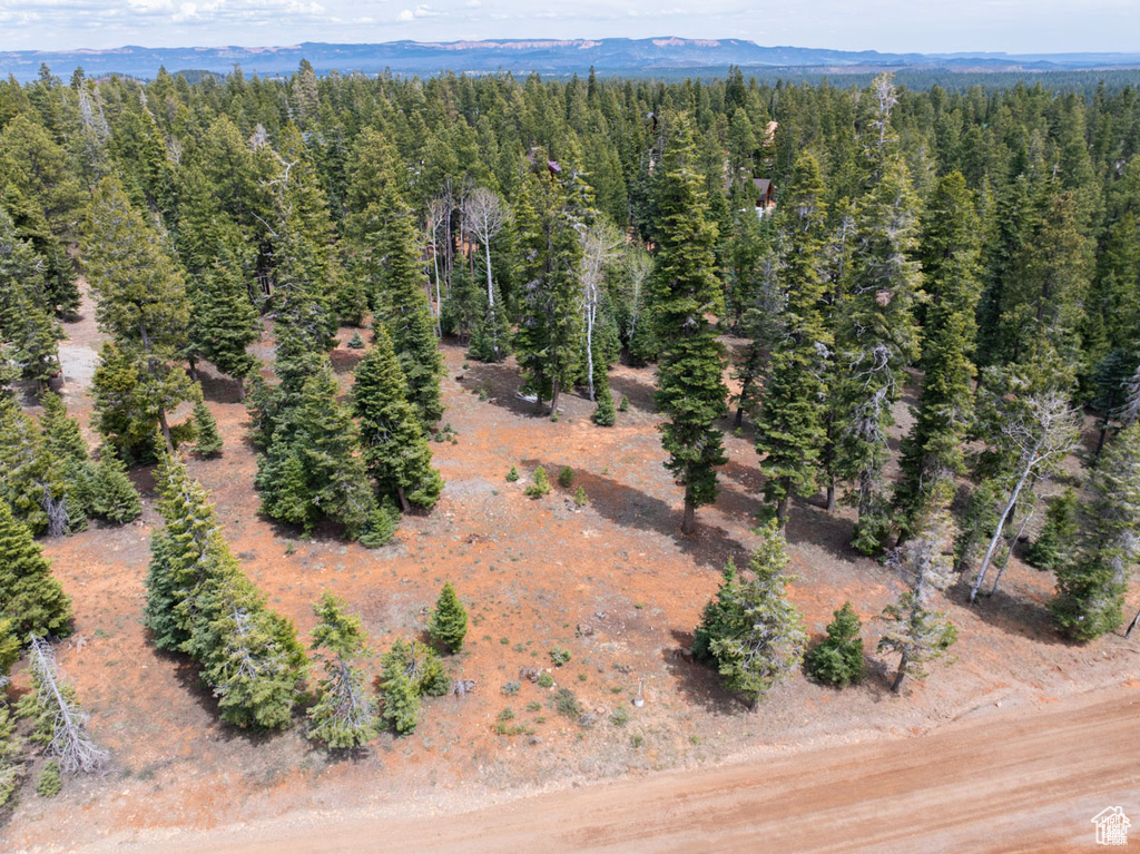 Aerial overview of property's location featuring a heavily wooded area and a mountain backdrop