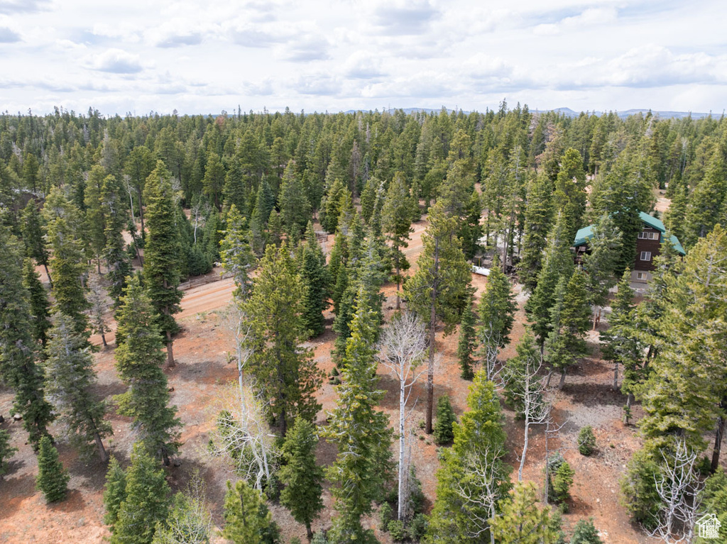 Drone / aerial view of a forest