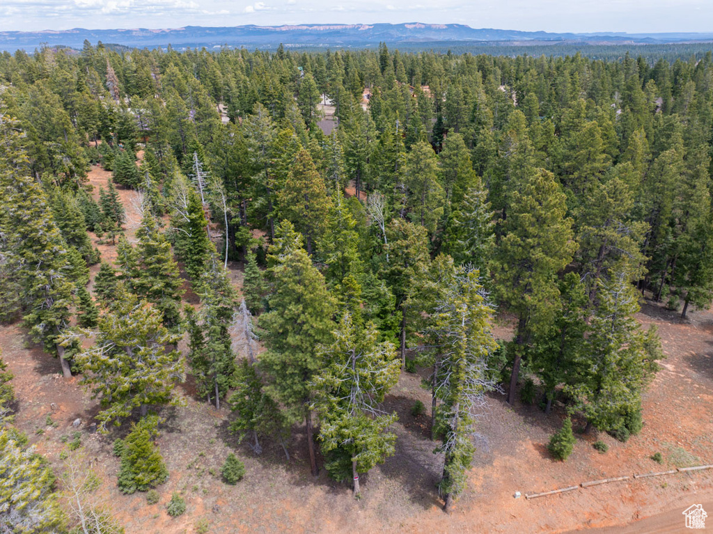 Drone / aerial view of a heavily wooded area and a mountainous background
