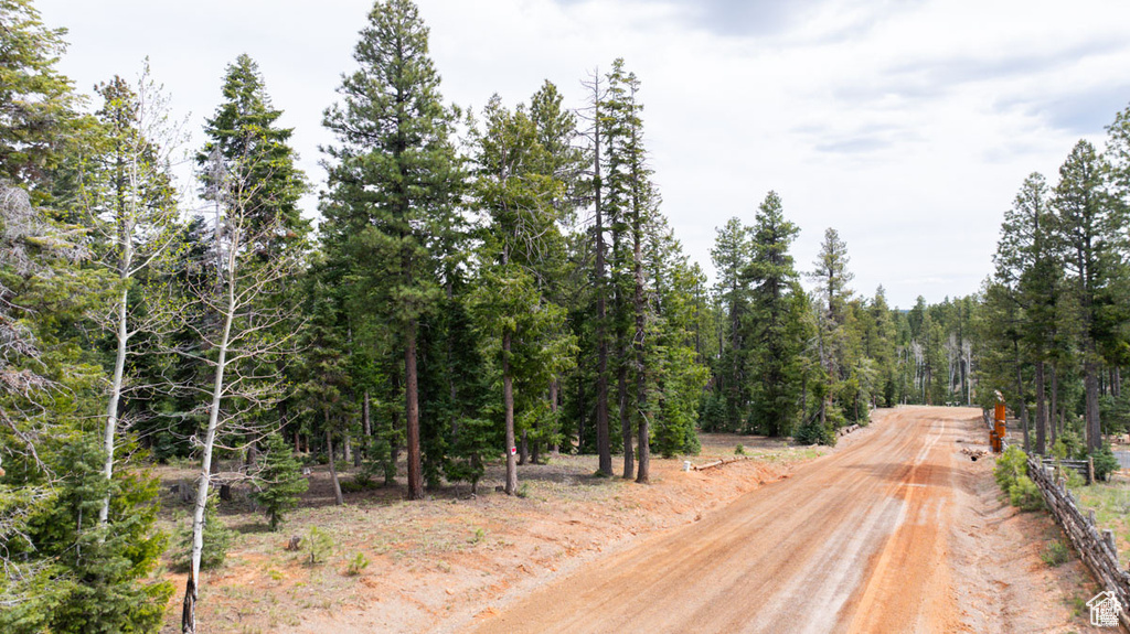 View of dirt / gravel road featuring a wooded view