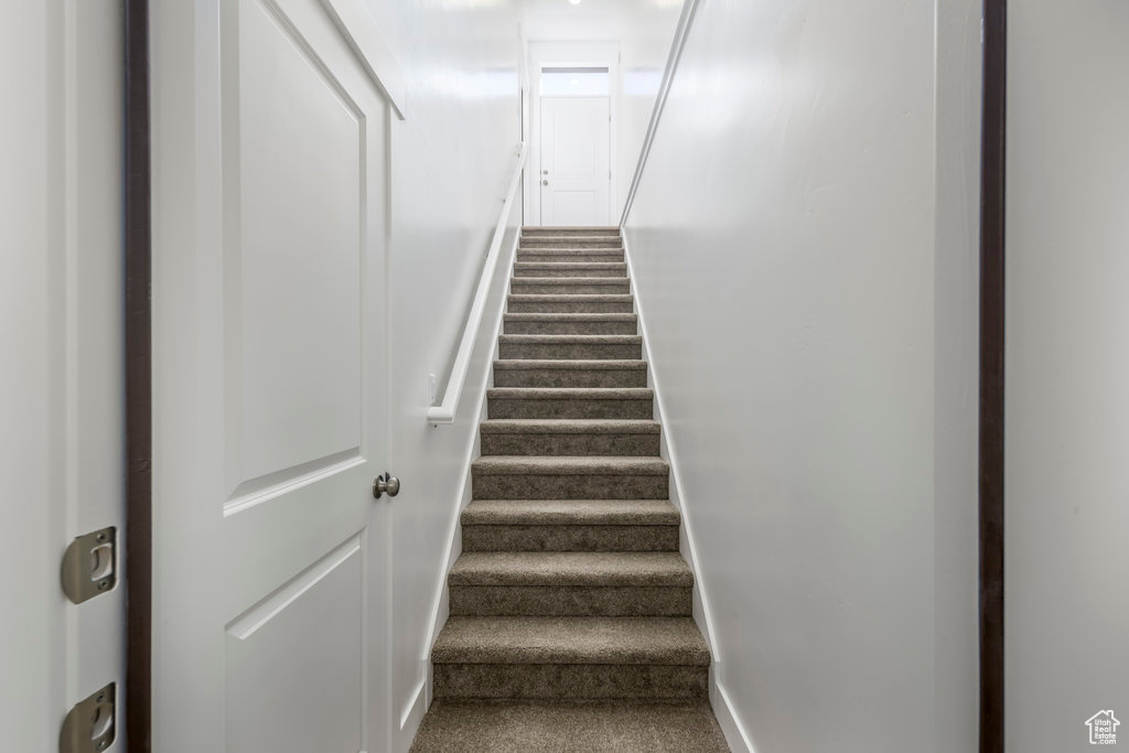 Stairway with baseboards and carpet flooring