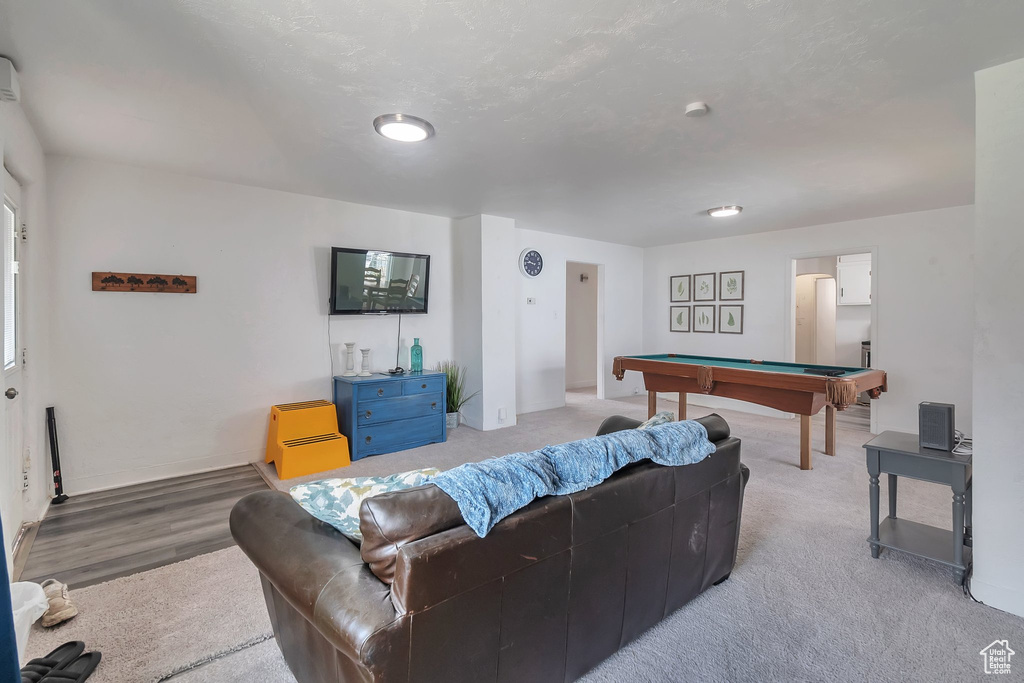Carpeted living area with pool table