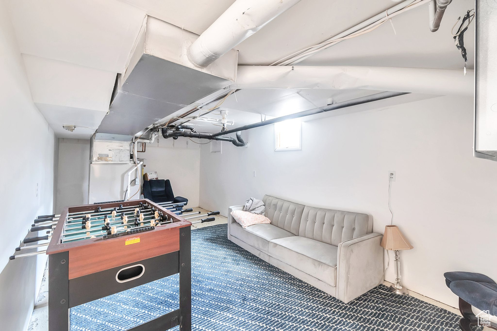 Rec room with carpet