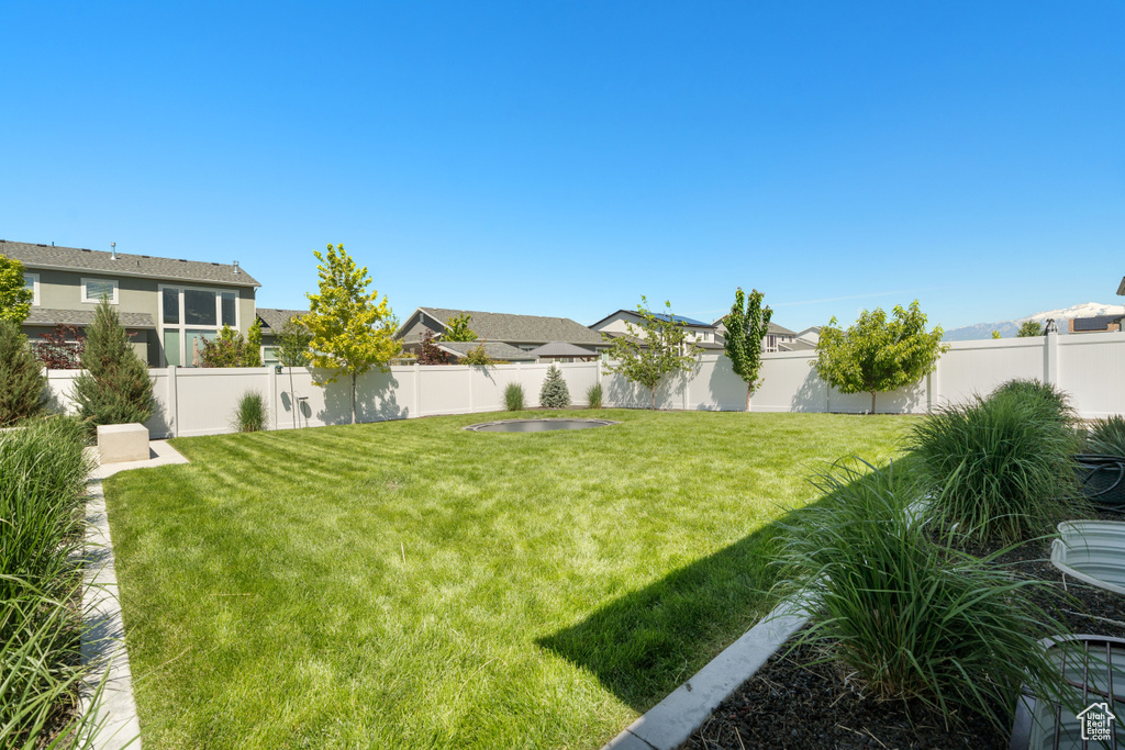 View of yard featuring a residential view