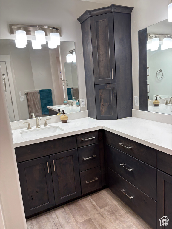 Bathroom featuring wood finished floors and vanity