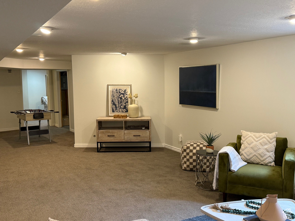 Living area featuring carpet floors and baseboards