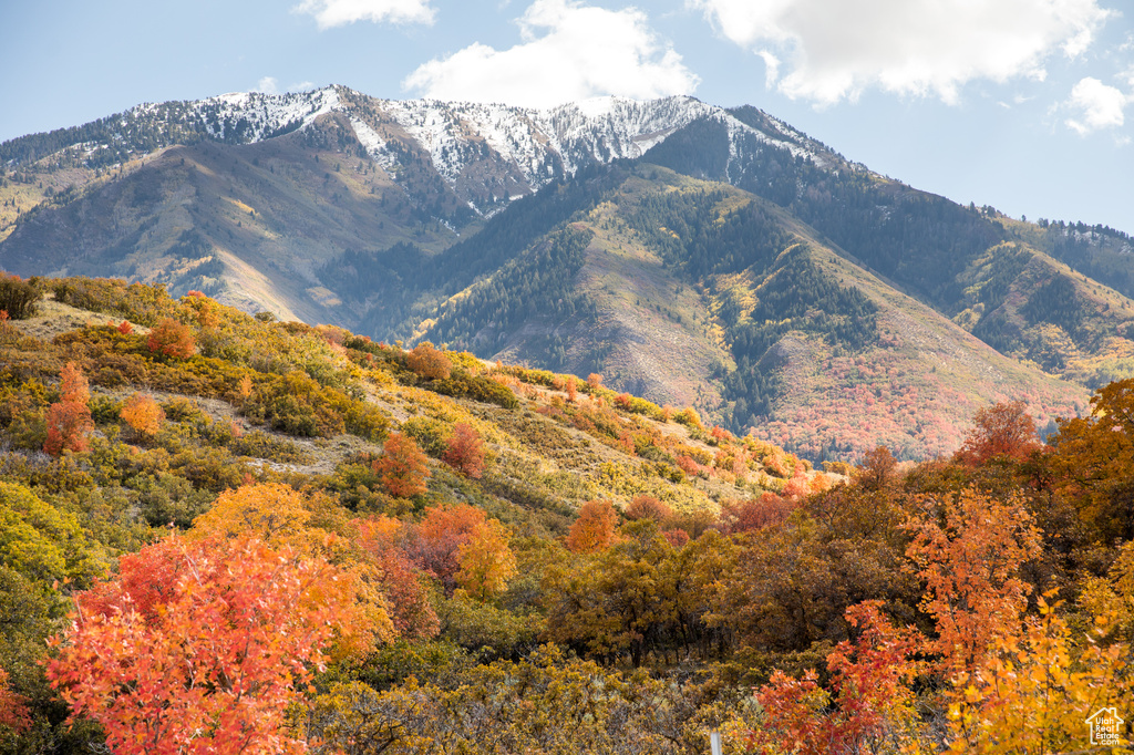 View of mountain backdrop featuring a heavily wooded area