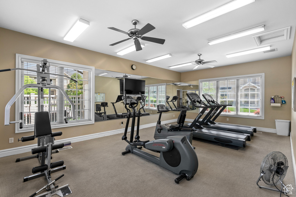 Gym with baseboards, ceiling fan, and carpet flooring