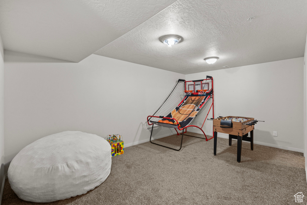 Recreation room with carpet, a textured ceiling, and baseboards