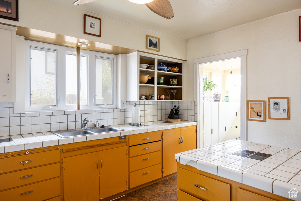 Kitchen with backsplash, a sink, plenty of natural light, and open shelves