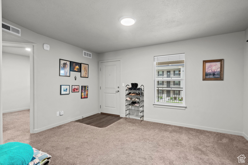 Entrance foyer with carpet flooring, baseboards, and a textured ceiling