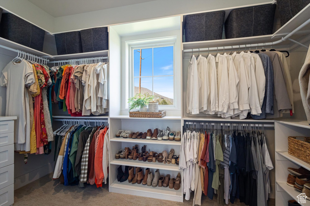 Spacious closet featuring carpet flooring