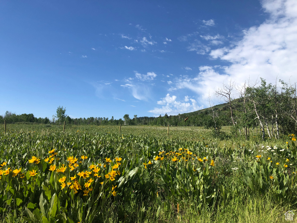 View of nature with rural landscape