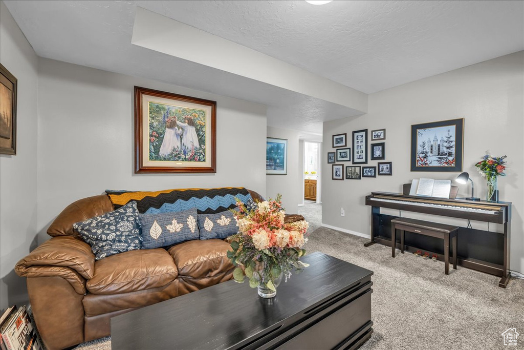 Living area with carpet flooring, baseboards, and a textured ceiling