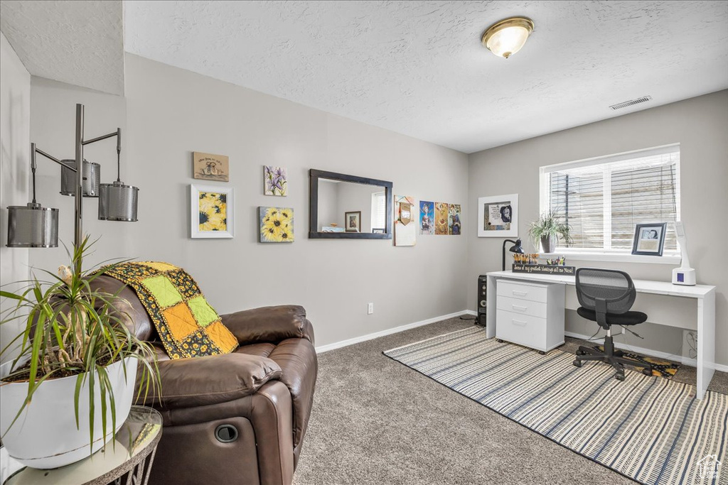 Office area with a textured ceiling, carpet, and baseboards