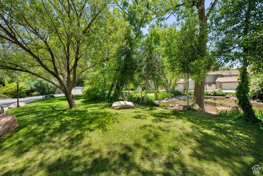 View of green lawn