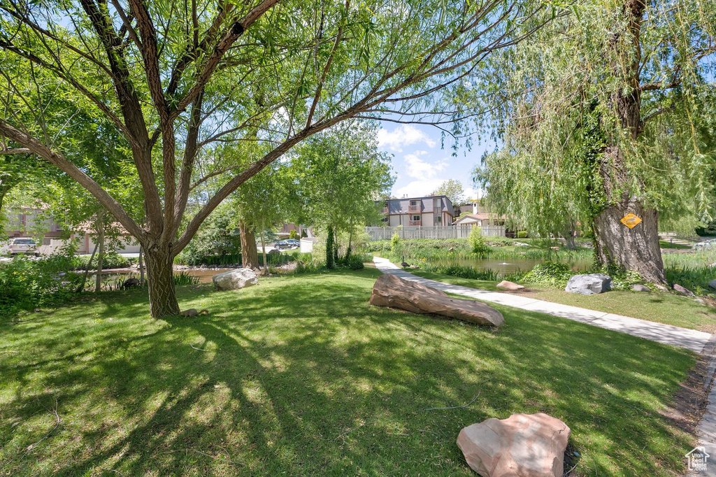 View of green lawn