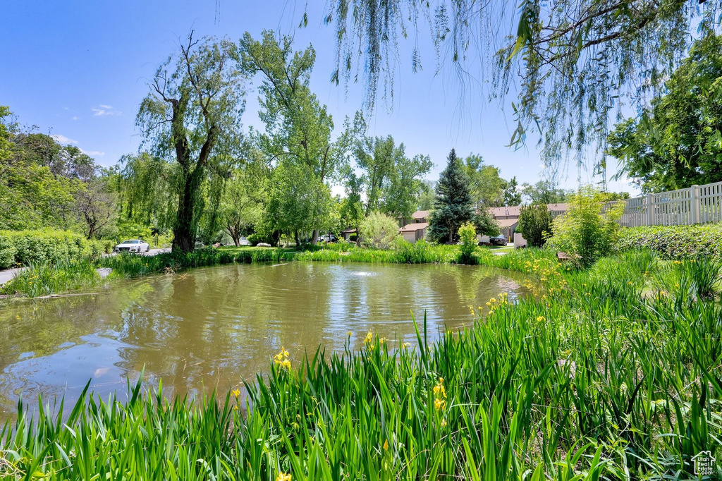Water view