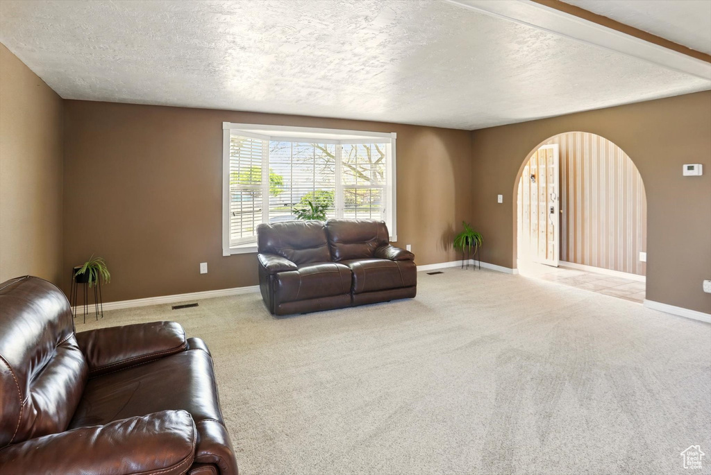 Living area featuring arched walkways, carpet flooring, a textured ceiling, and baseboards