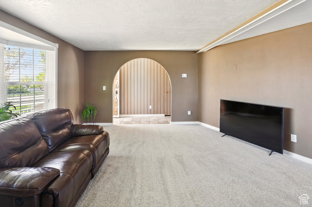 Living room featuring arched walkways, carpet flooring, a textured ceiling, and baseboards