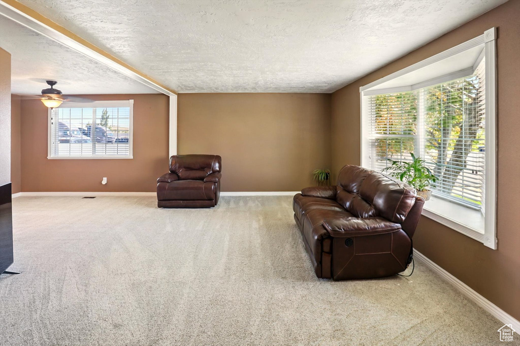 Living area with a textured ceiling, carpet flooring, healthy amount of natural light, and baseboards