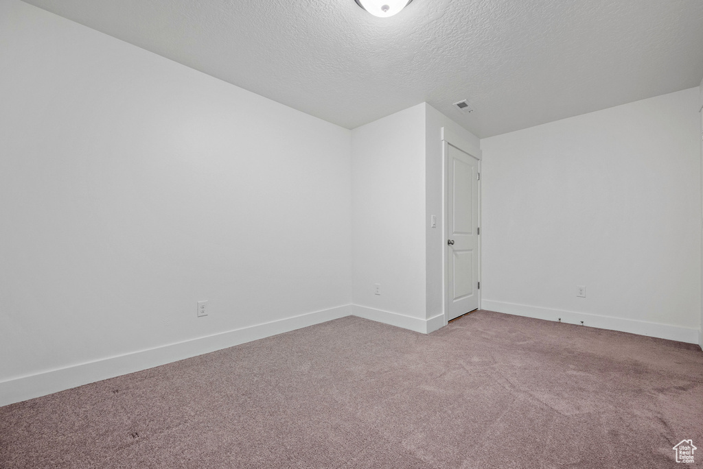 Additional living space with carpet flooring, a textured ceiling, and baseboards