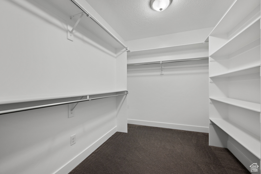 Spacious closet with dark colored carpet