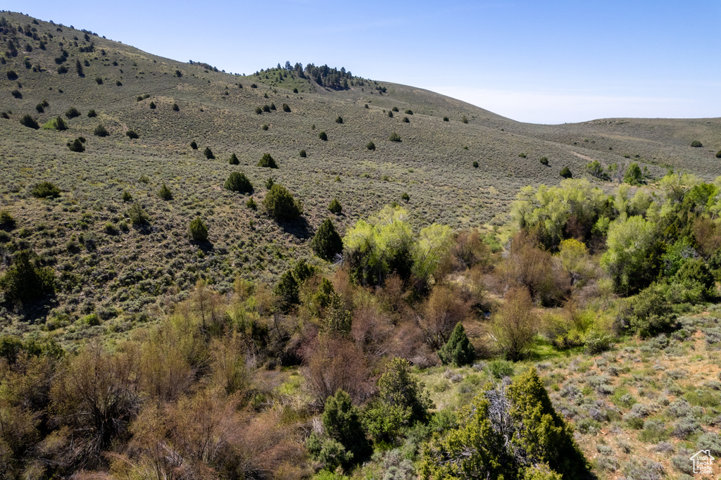 View of mountain backdrop